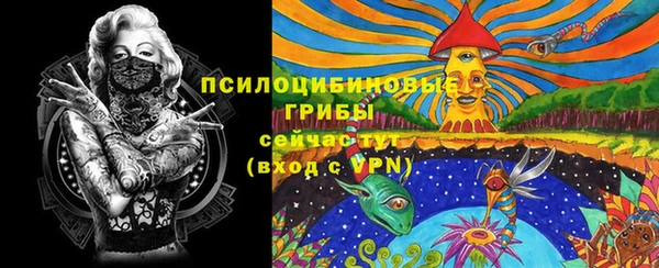 тгк Богородск